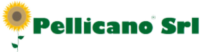 Pellicano